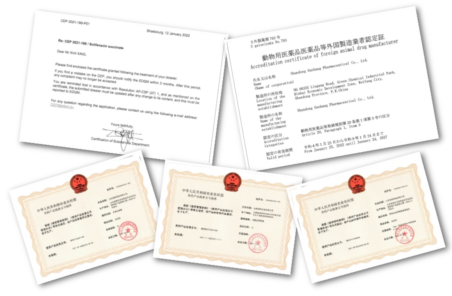 利来·国际(中国)最老牌-中国官网