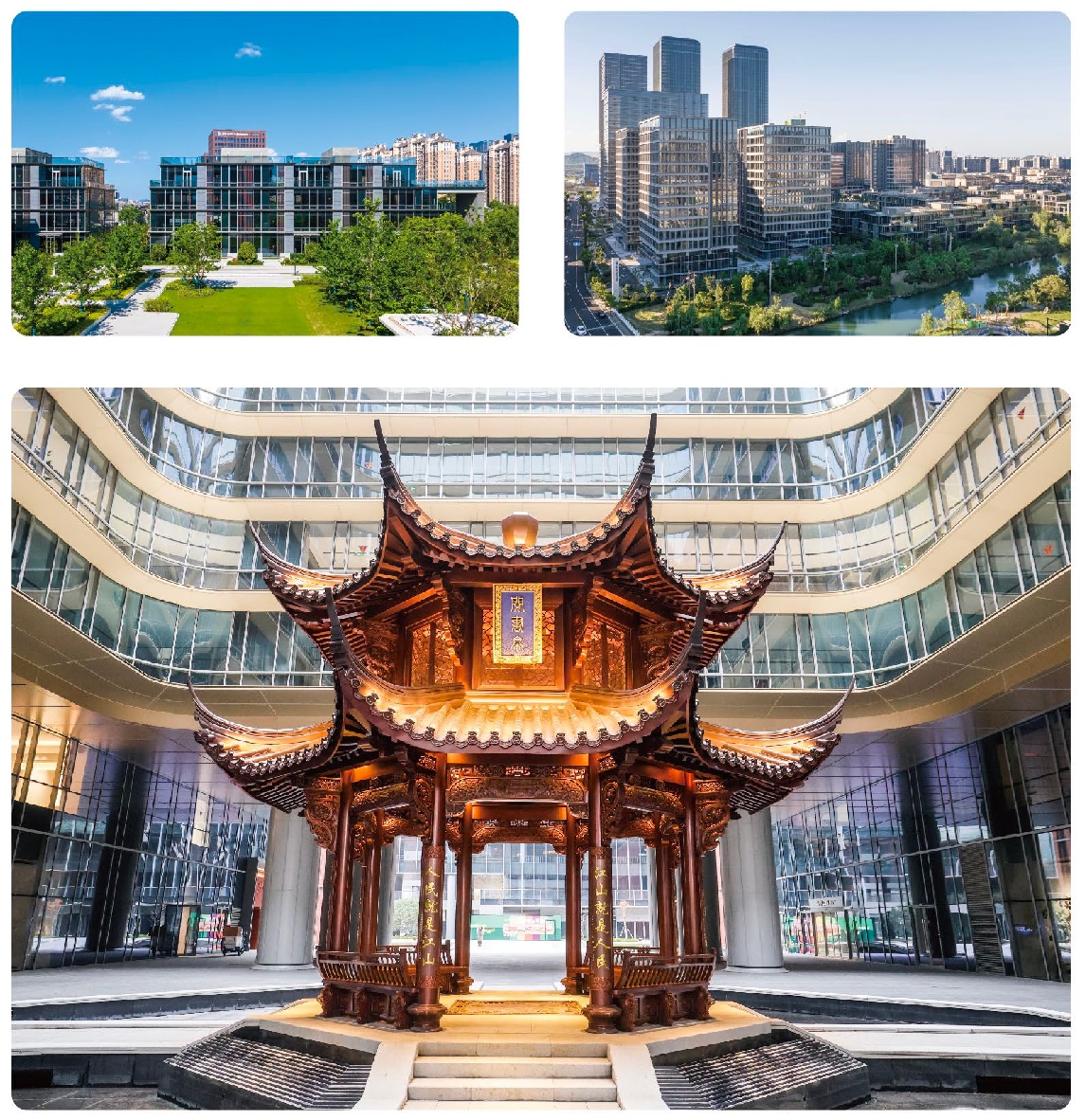 利来·国际(中国)最老牌-中国官网